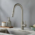 Robinet Mitigeur Cuisine Douchette — NORVIK Aqua