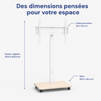 Dimensions du support TV mobile sans plateau